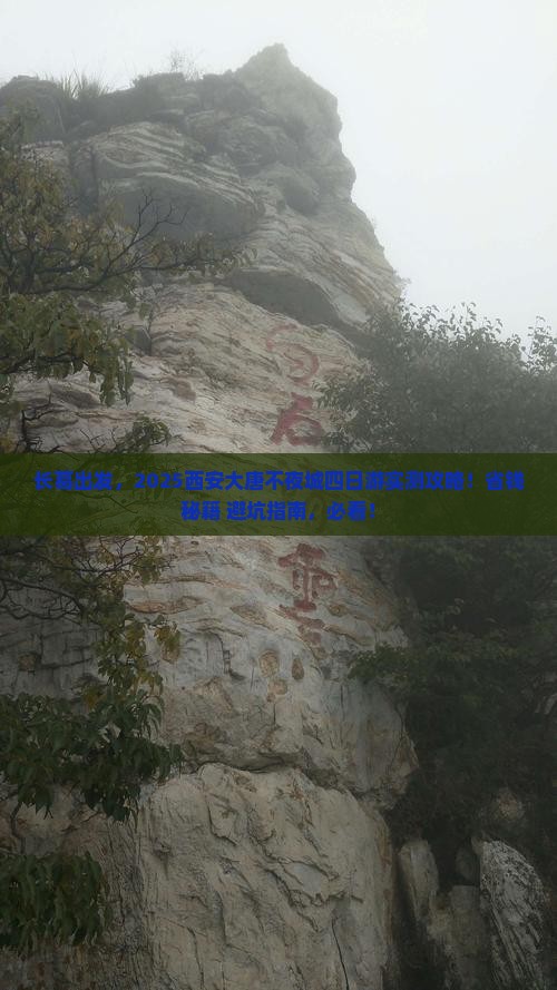 长葛到西安大唐不夜城四日游