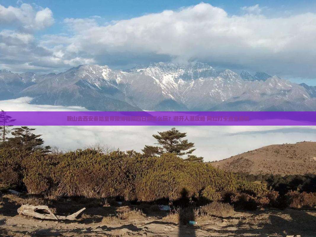 鞍山去西安秦始皇帝陵博物院四日游