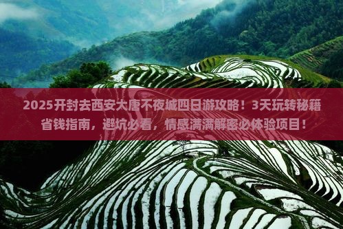 开封去西安大唐不夜城四日游