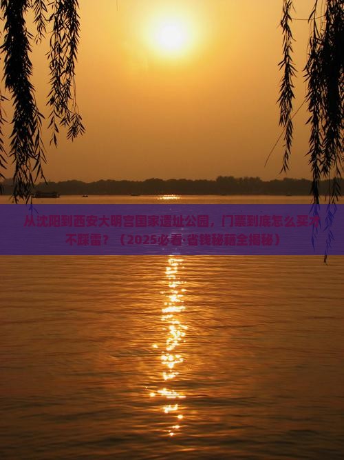 沈阳到西安大明宫国家遗址公园门票