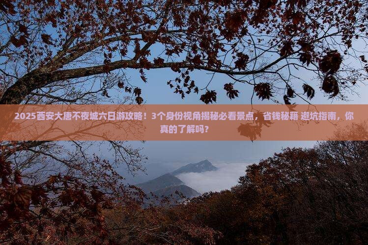 春节到西安大唐不夜城六日游