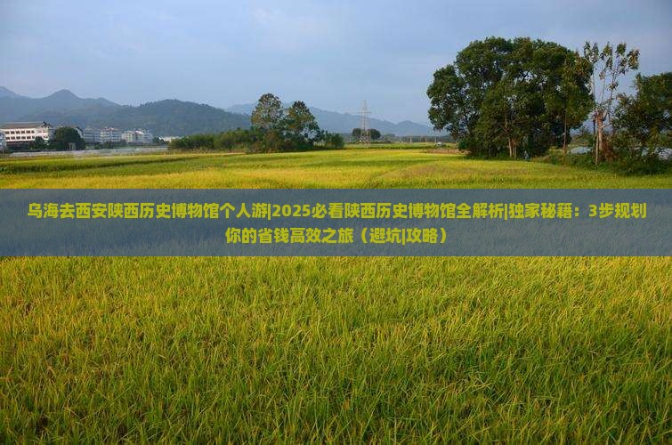 乌海去西安陕西历史博物馆个人游