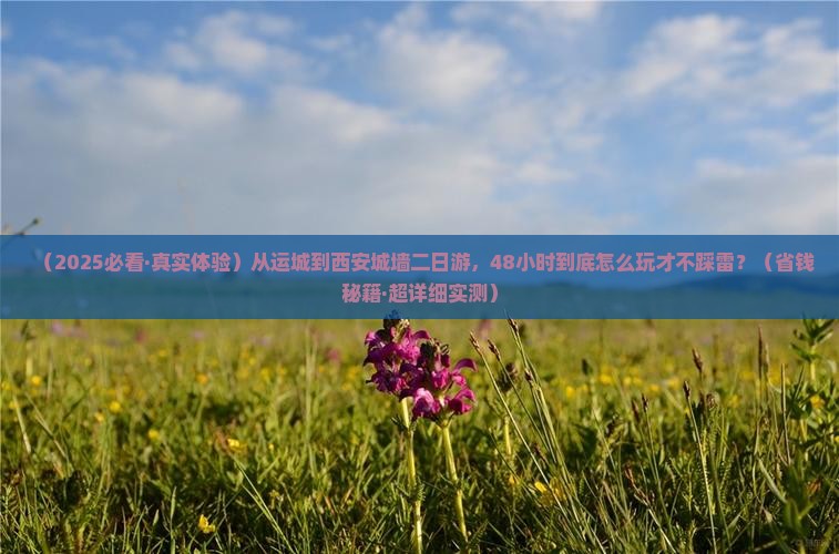 运城到西安城墙二日游