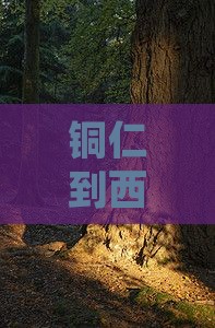 铜仁去西安大雁塔个人游