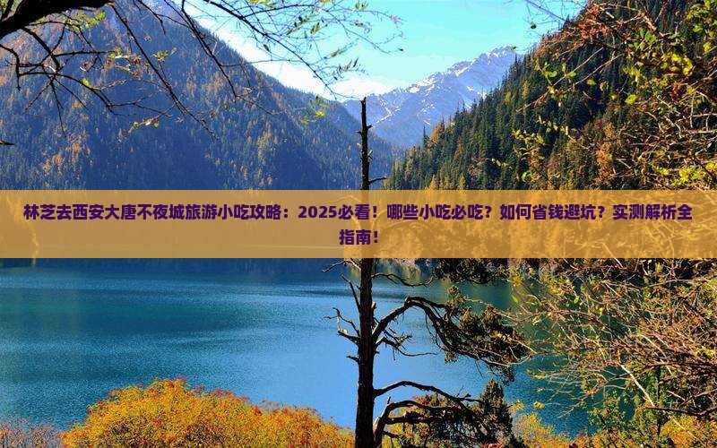林芝去西安大唐不夜城旅游小吃