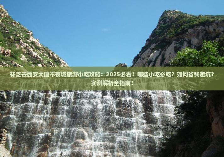 林芝去西安大唐不夜城旅游小吃