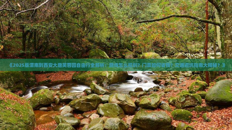 渭南到西安大唐芙蓉园自由行