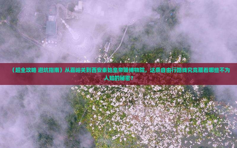 嘉峪关去西安秦始皇帝陵博物院自由团