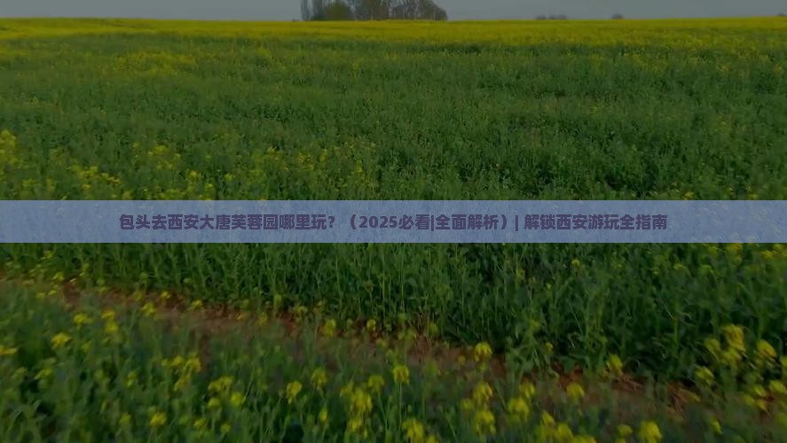 包头去西安大唐芙蓉园哪里玩