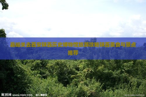 嘉峪关去西安陕西历史博物馆旅游