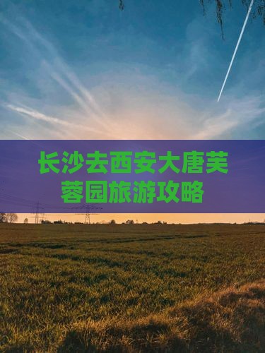 长沙去西安大唐芙蓉园旅行社