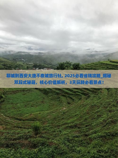 聊城到西安大唐不夜城旅行社 聊城到西安大唐不夜城旅行社