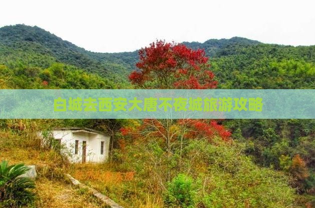 白城去西安大唐不夜城自由行