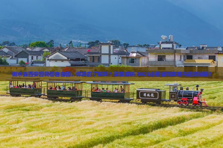 衡水去西安回民街自由团 衡水去西安回民街自由团