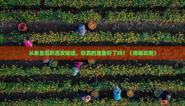 秦皇岛到西安城墙景点