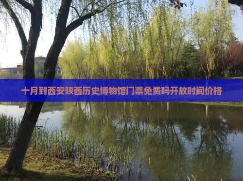 十月到西安陕西历史博物馆门票