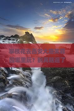 攀枝花去西安大唐芙蓉园哪里玩