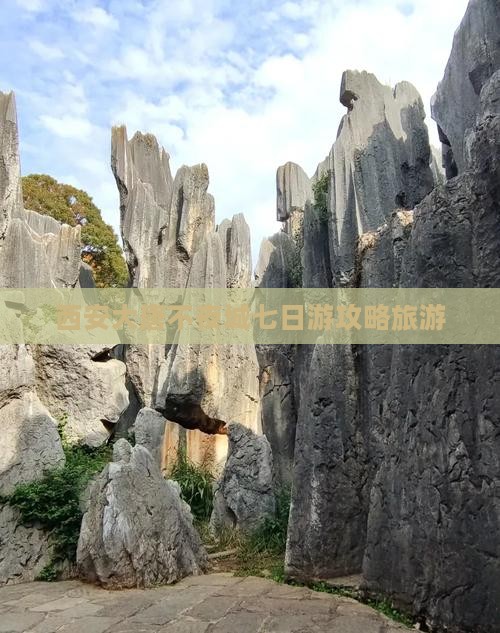 黔东南到西安大唐不夜城七日游