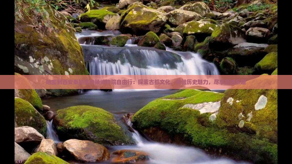 哈密到西安秦始皇帝陵博物院自由行