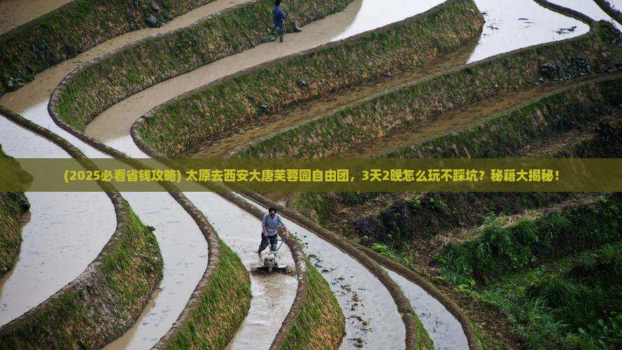 太原去西安大唐芙蓉园自由团