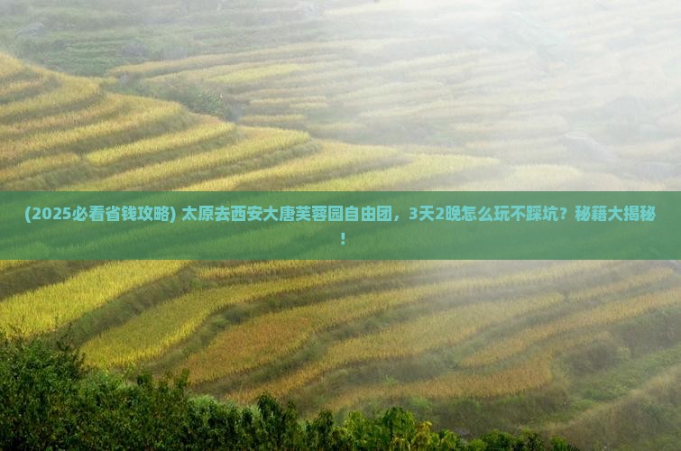 太原去西安大唐芙蓉园自由团