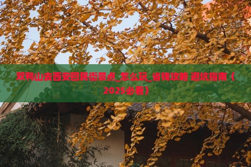 双鸭山去西安回民街景点