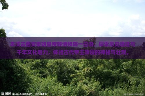 本溪去西安秦始皇帝陵博物院一日游