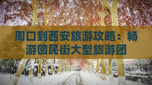 周口到西安回民街大型旅游团