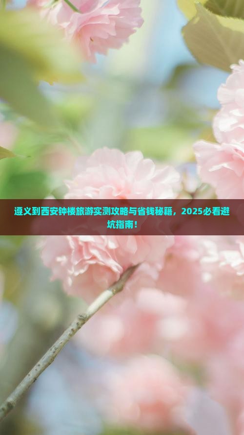遵义到西安钟楼旅游