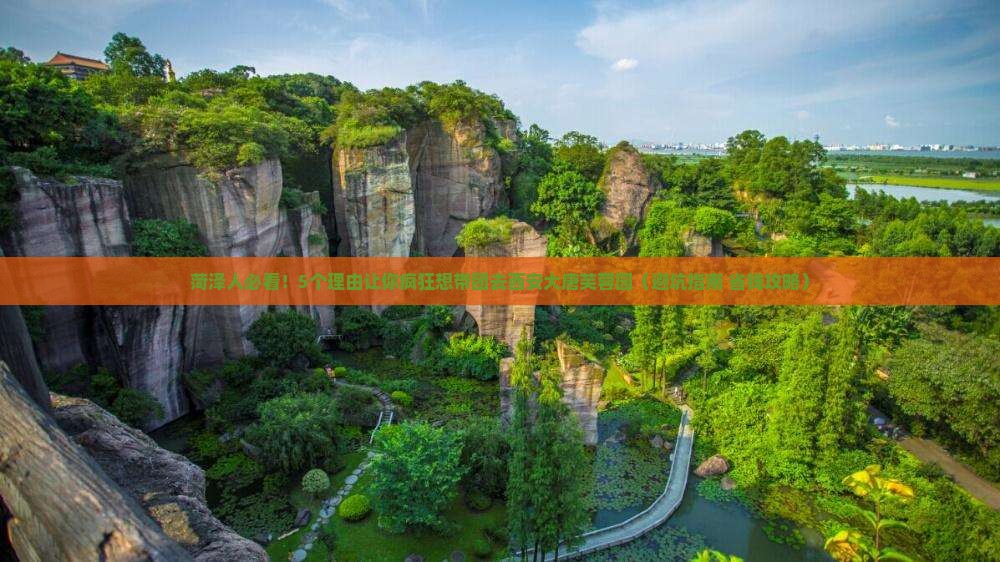 菏泽到西安大唐芙蓉园大型旅游团