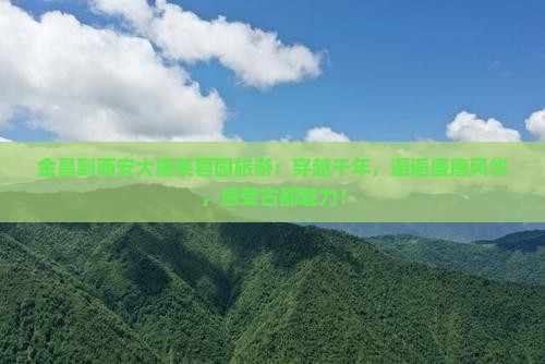 金昌到西安大唐芙蓉园旅游