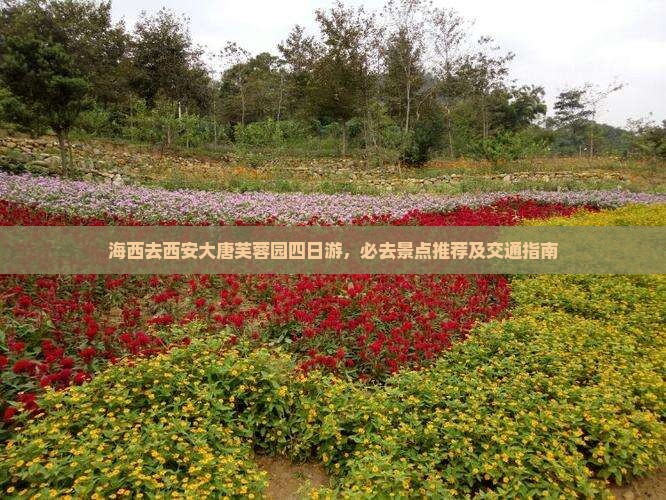 海西去西安大唐芙蓉园四日游