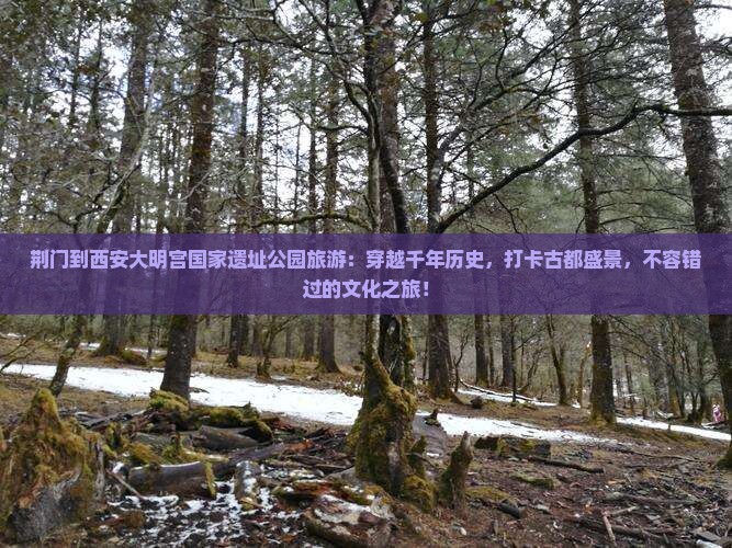 荆门到西安大明宫国家遗址公园旅游