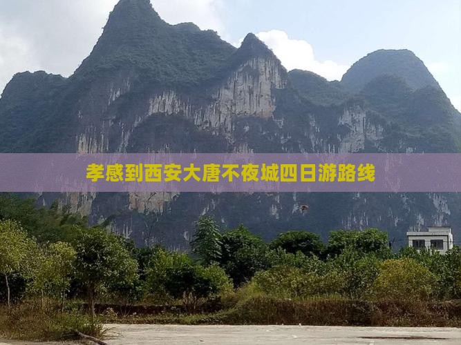 孝感到西安大唐不夜城四日游