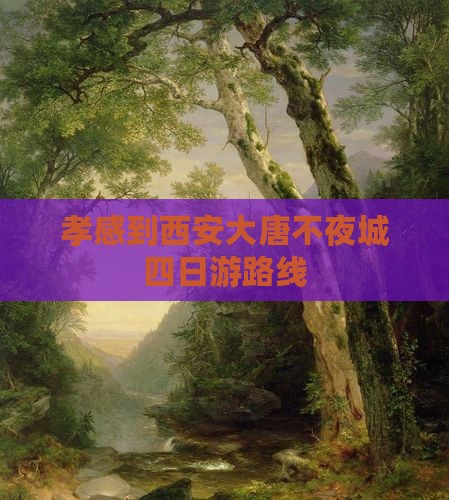 孝感到西安大唐不夜城四日游