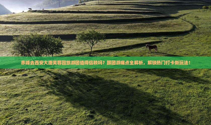 赤峰去西安大唐芙蓉园大型旅游团
