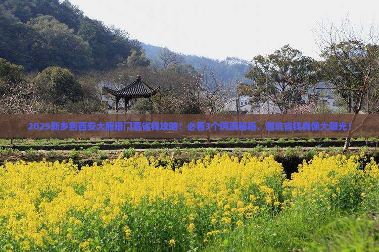 新乡到西安大雁塔门票