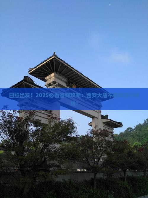 日照到西安大唐不夜城旅行社