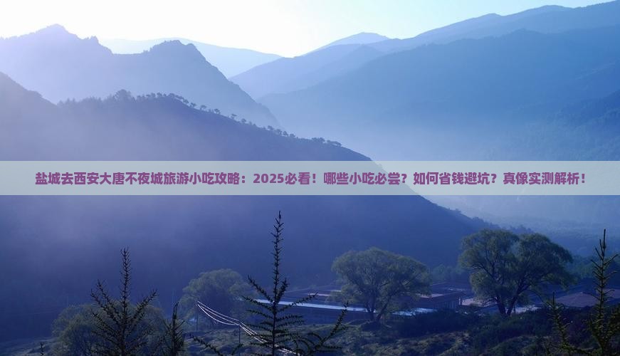 盐城去西安大唐不夜城旅游小吃