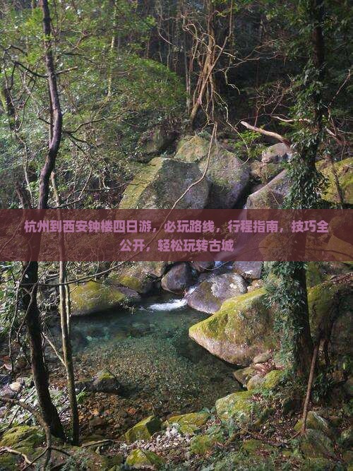 杭州到西安钟楼四日游
