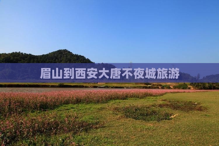 眉山到西安大唐不夜城旅游
