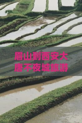 眉山到西安大唐不夜城旅游
