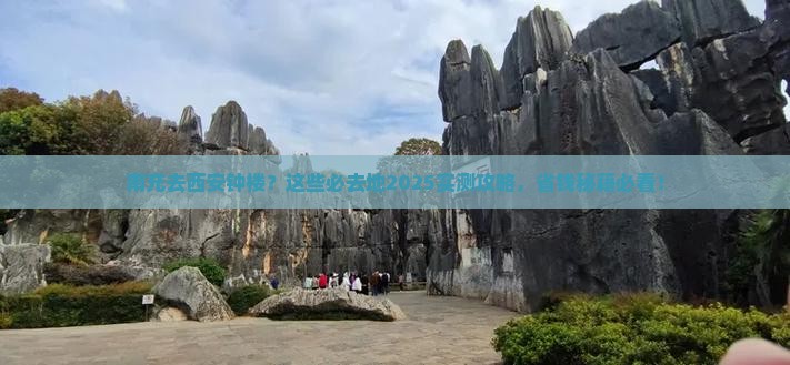 南充到西安钟楼必去地