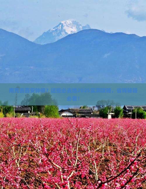 南充到西安钟楼必去地