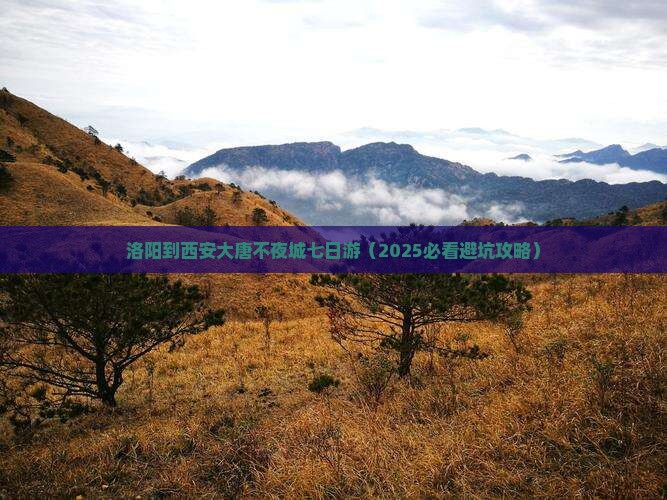 洛阳到西安大唐不夜城七日游