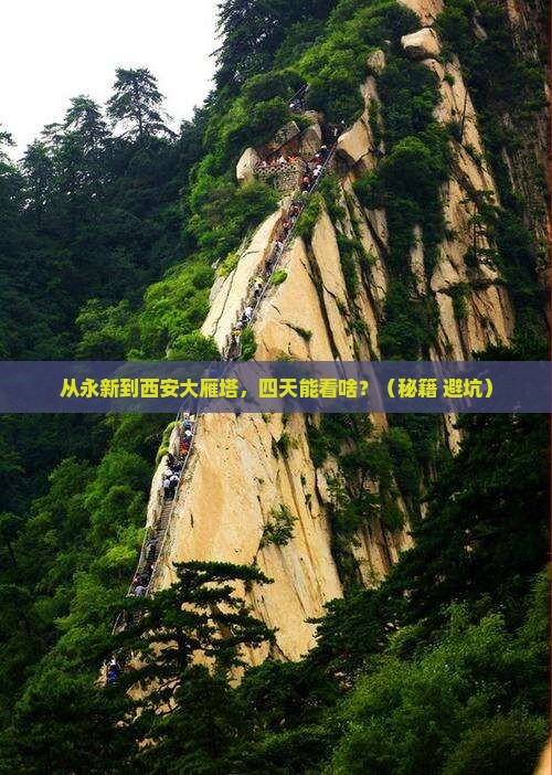 永新到西安大雁塔四日游