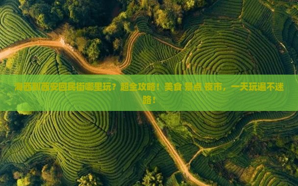 海西到西安回民街哪里玩