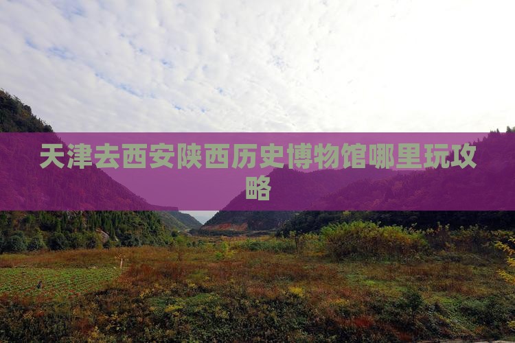 天津去西安陕西历史博物馆哪里玩
