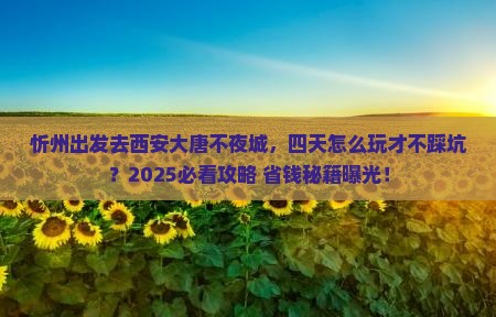 忻州去西安大唐不夜城四日游