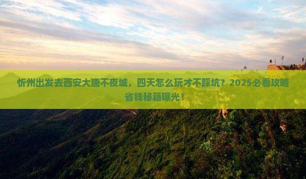 忻州去西安大唐不夜城四日游